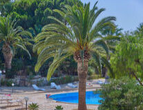 a pool next to a palm tree